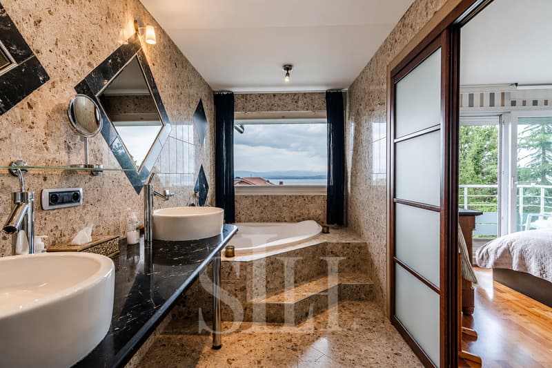 A Proximité de l'Hôtel Royal propriété vue lac et montagne (10)
