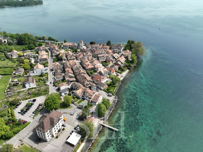 Une propriété rare sur les rives du Léman (2)