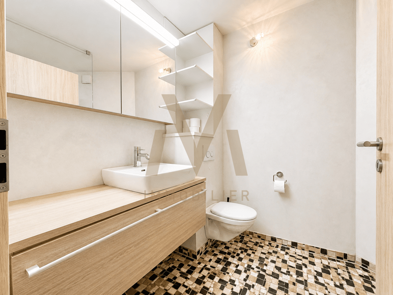 Immeuble lumineux avec 2 logements et 4 garages (7)