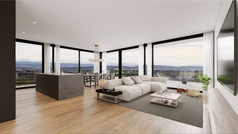 Exclusive attic apartment with panorama – Architecture & Lifestyle united in Belvedere Egerkingen (5)