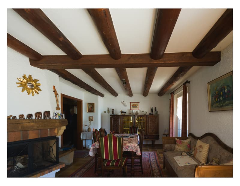 A VENDRE MAGNIFIQUE VILLA VAUDOISE AVEC PISCINE (11)