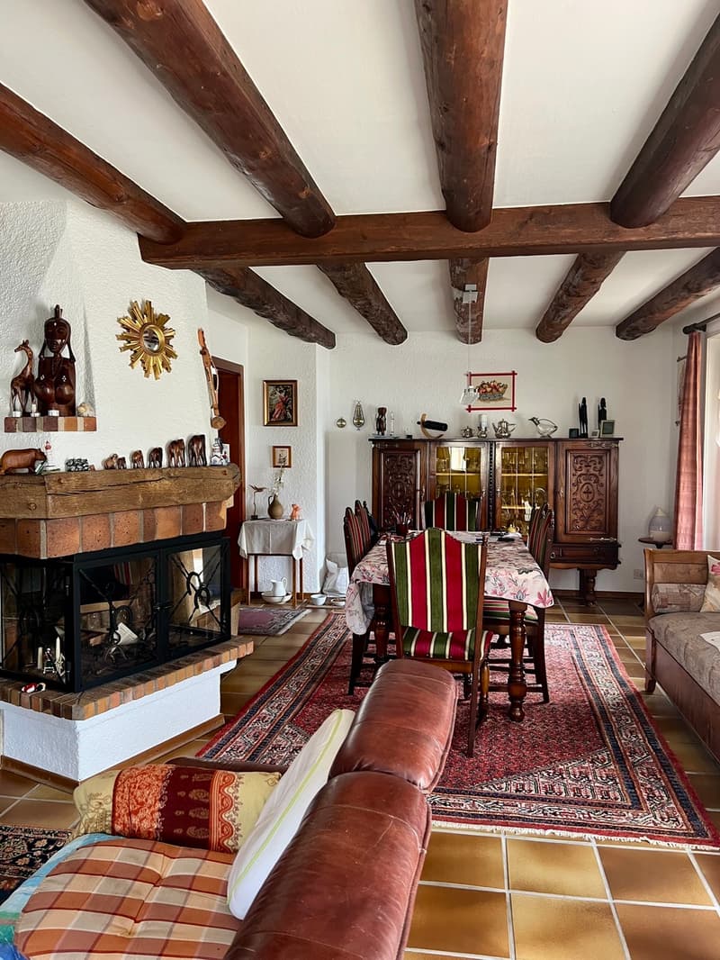 A VENDRE MAGNIFIQUE VILLA VAUDOISE AVEC PISCINE (8)