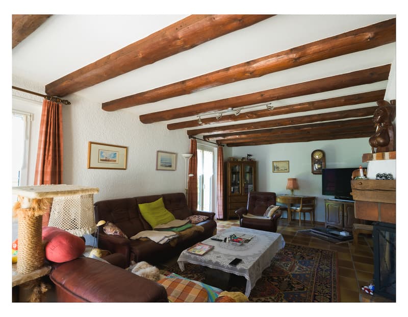 A VENDRE MAGNIFIQUE VILLA VAUDOISE AVEC PISCINE (10)