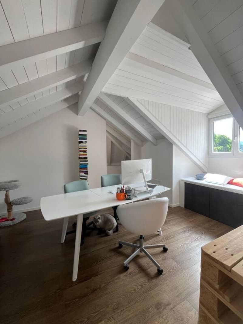 Duplex-Wohnung mit 5 Zimmern in Arbedo (11)