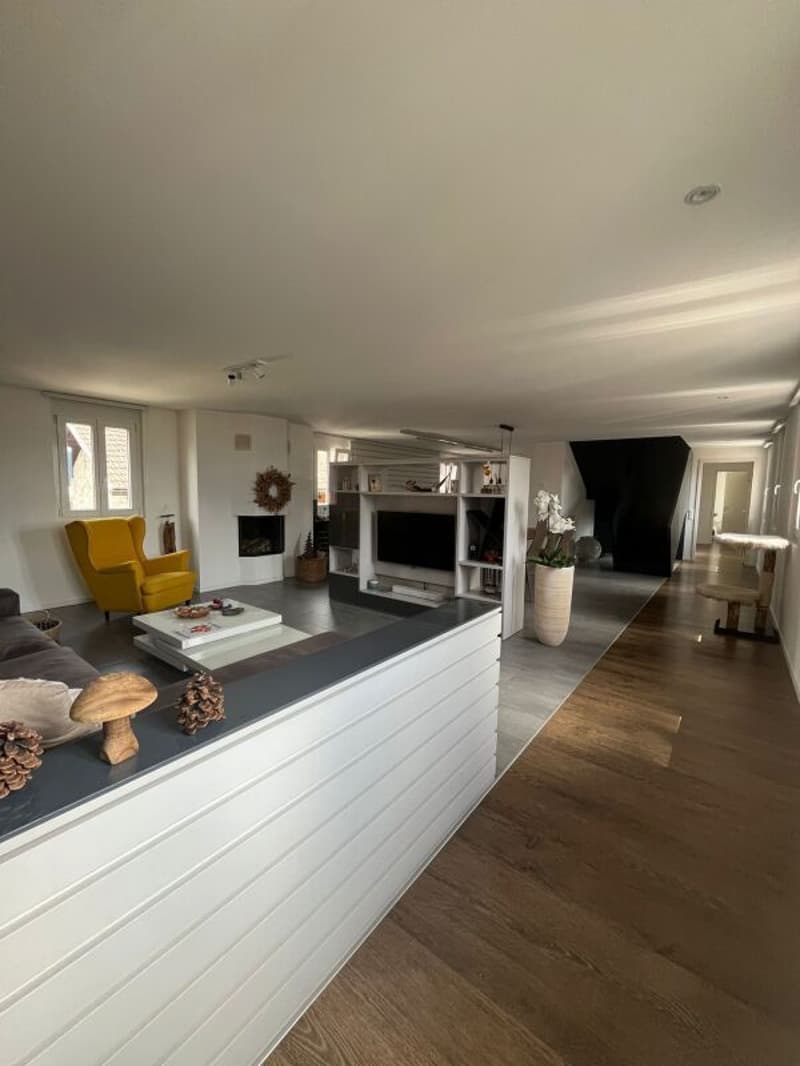 Duplex-Wohnung mit 5 Zimmern in Arbedo (5)