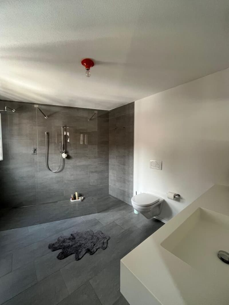 Duplex-Wohnung mit 5 Zimmern in Arbedo (17)