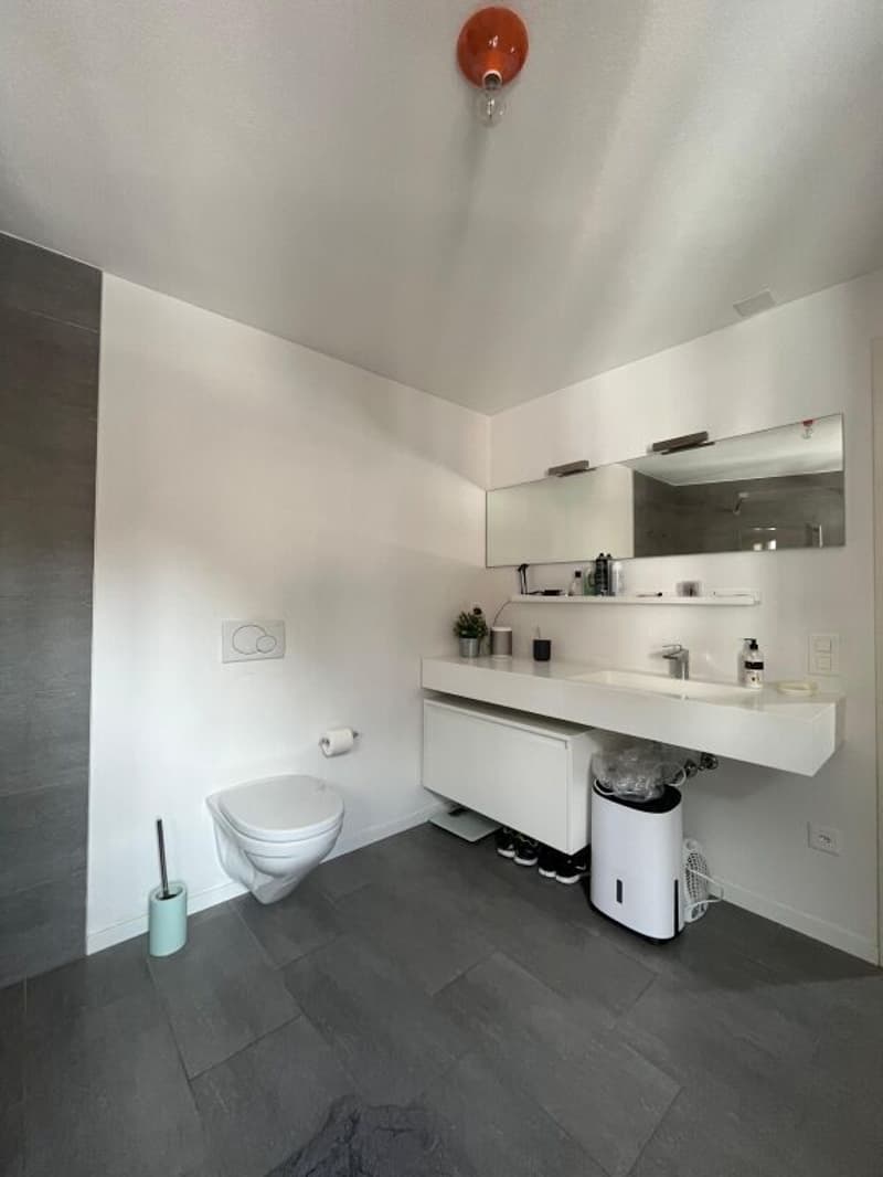 Duplex-Wohnung mit 5 Zimmern in Arbedo (19)