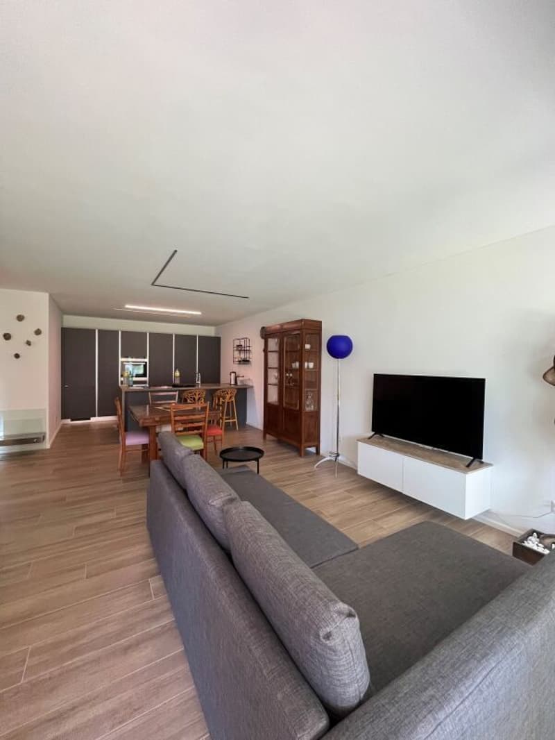 Zweieinhalb-Zimmer-Wohnung mit Garten, Bellinzona (3)