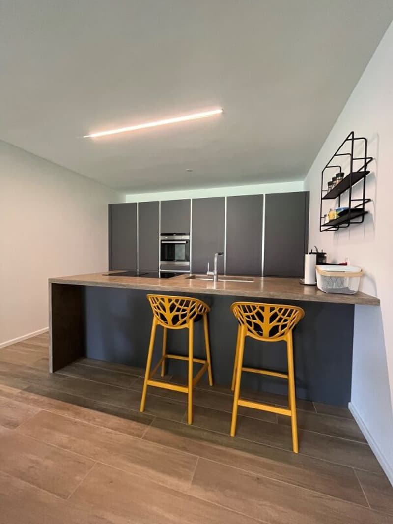 Zweieinhalb-Zimmer-Wohnung mit Garten, Bellinzona (2)