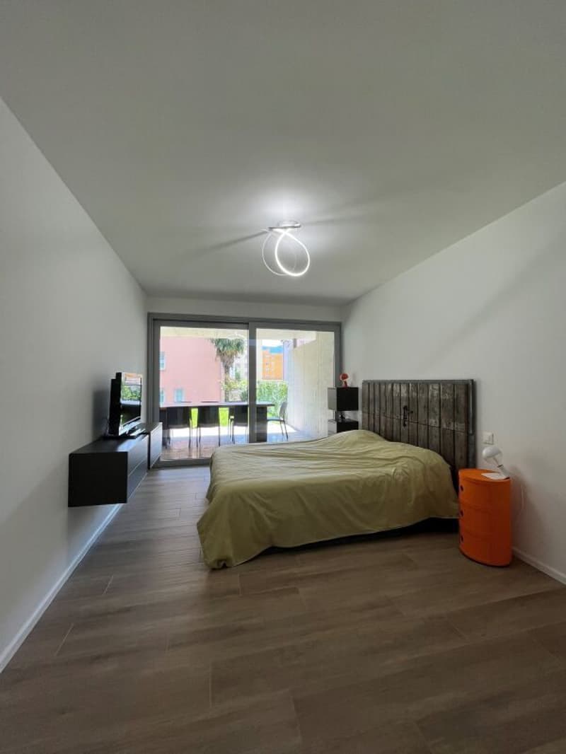 Zweieinhalb-Zimmer-Wohnung mit Garten, Bellinzona (12)