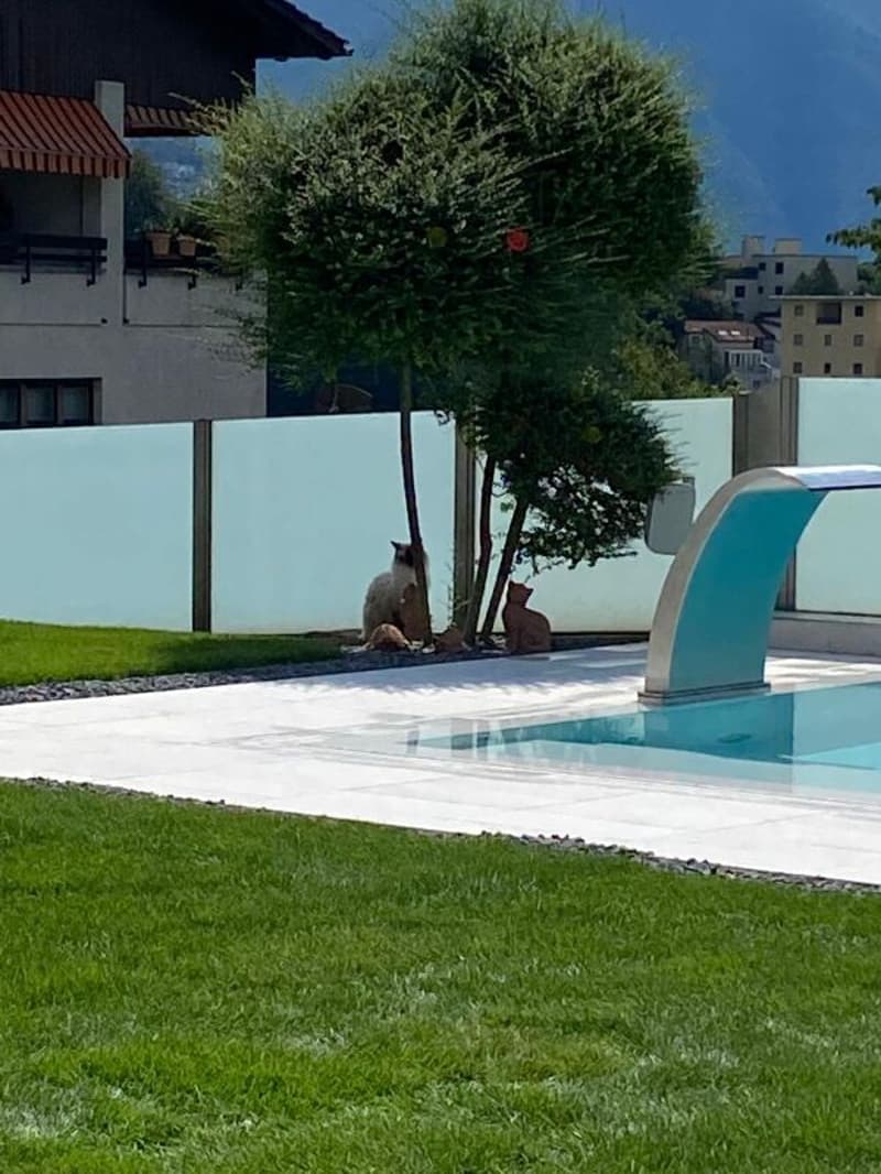 Villa Moderne avec Piscine et Domotique Avancée - Unicité et Confort à Portée de Main (7)