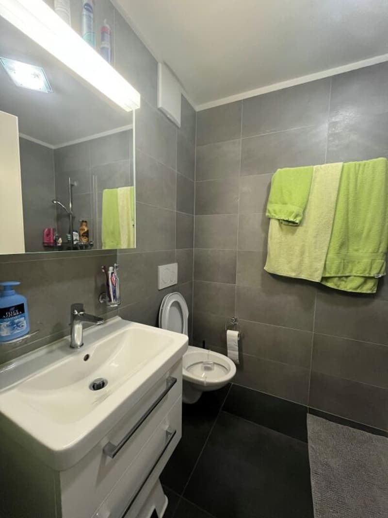 Appartamento 3.5 locali con giardino Gordola (12)