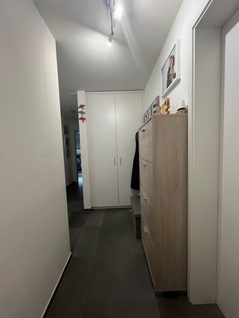 Appartamento 3.5 locali con giardino Gordola (9)
