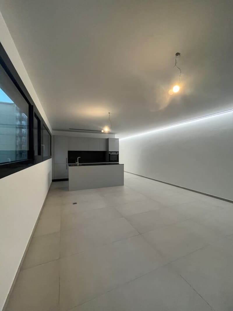 Residenza “V3V6”, appartamento 2.5 lcoali - 2. Wohnsitz, Solduno (4)