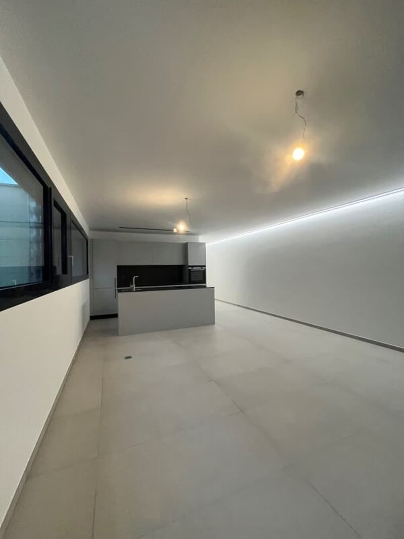 Residenza “V3V6”, appartamento 2.5 lcoali - 2. Wohnsitz, Solduno (3)