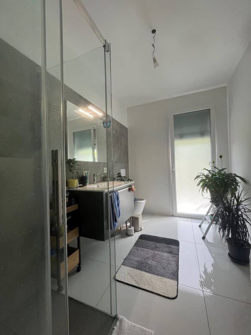 4.5-room apartment, Camorino (27)