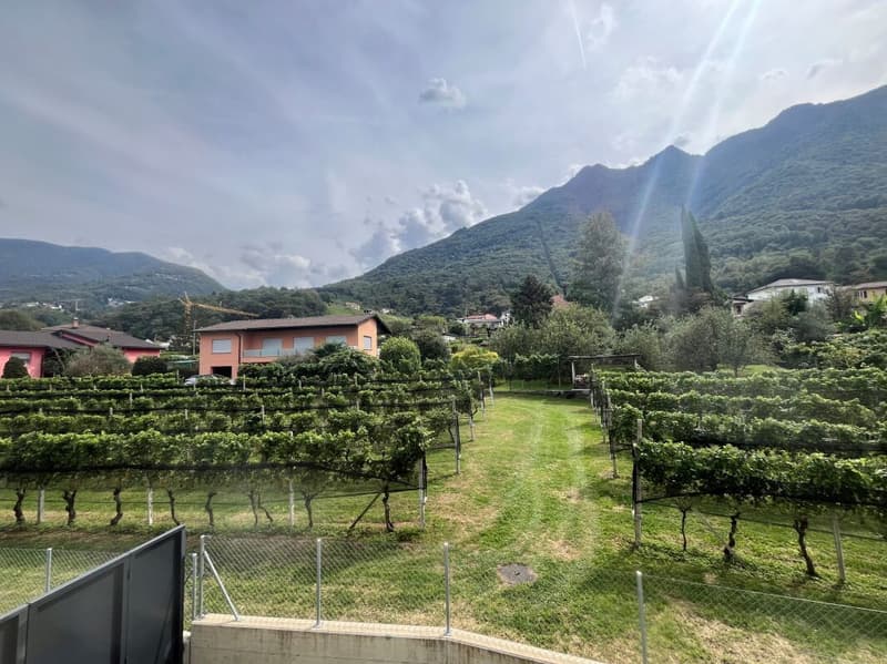 4.5-room apartment, Camorino (25)