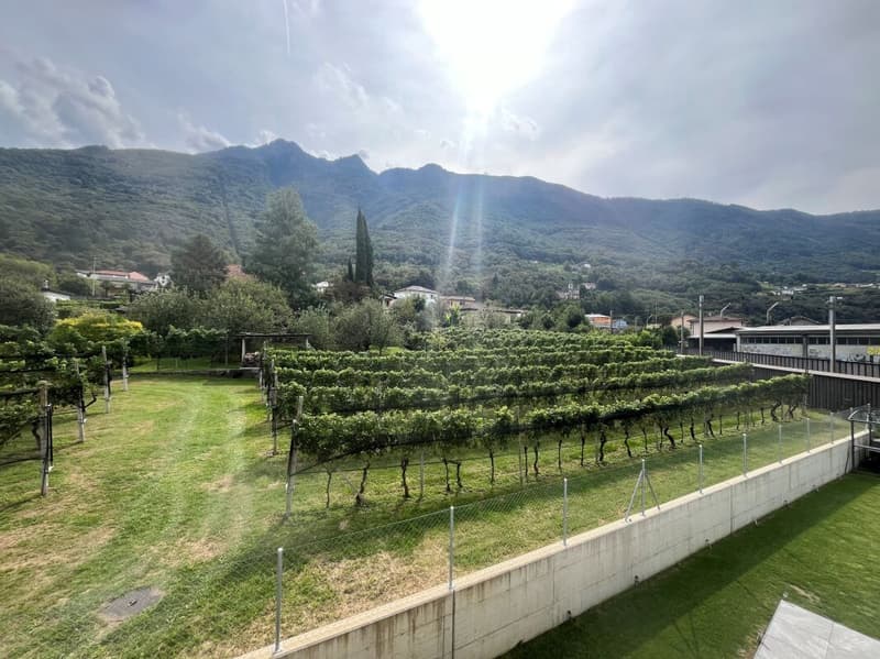 4.5-room apartment, Camorino (24)