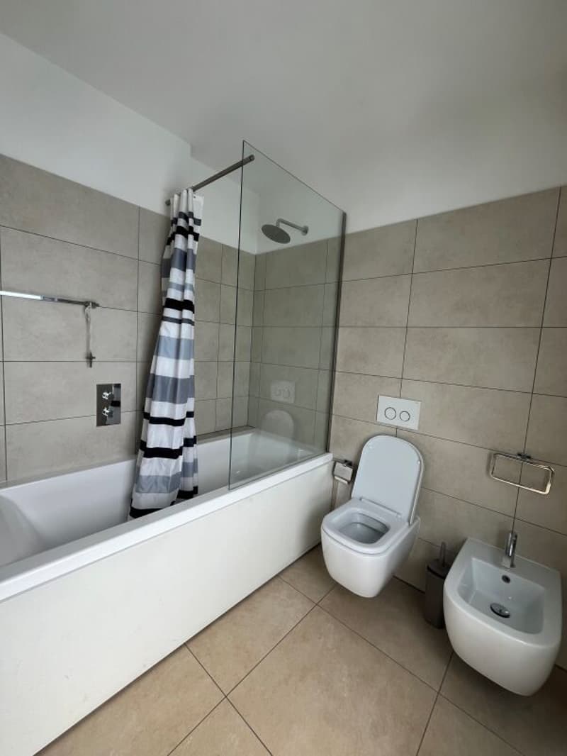 Res. Leche Park, 4.5-room apartment, Bellinzona (11)