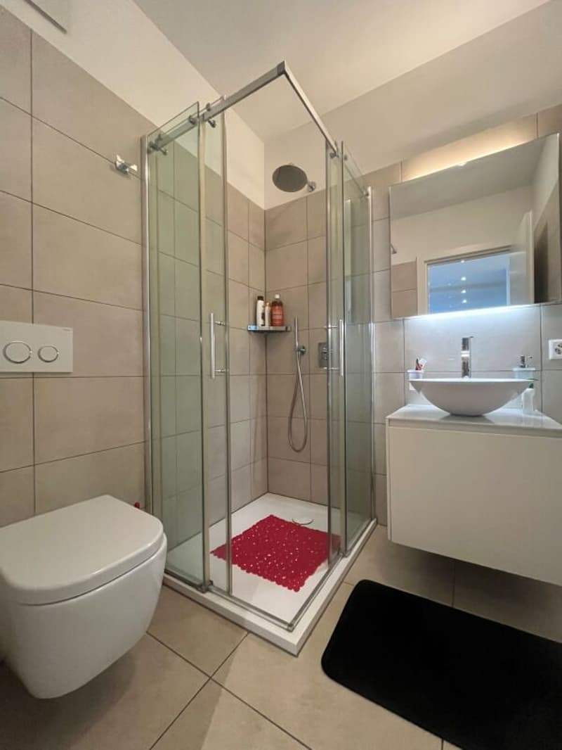 Res. Leche Park, 4.5-room apartment, Bellinzona (13)