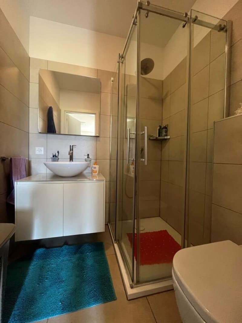 Res. Leche Park, 4.5-room apartment, Bellinzona (12)