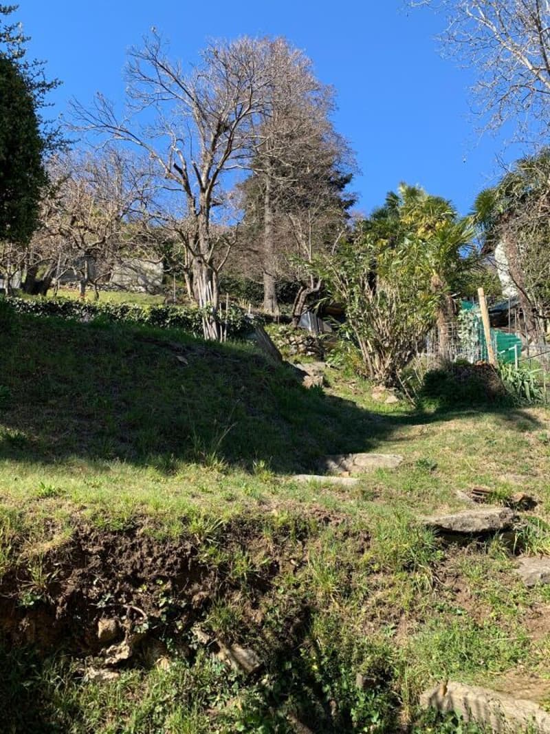 Buildable land of 1548 sqm with lake view, Orselina (8)