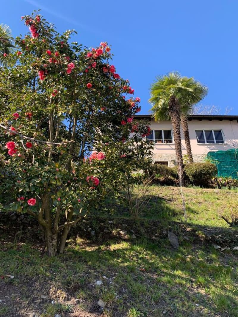 Buildable land of 1548 sqm with lake view, Orselina (3)