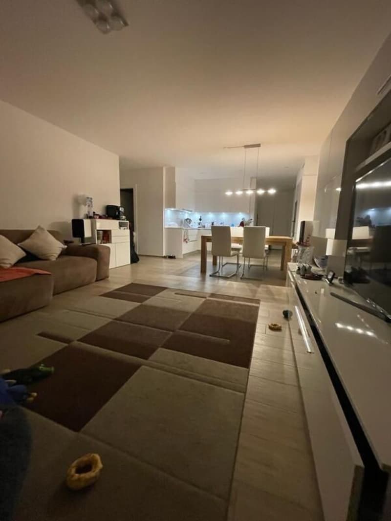 Res. Leche Park, apartment with garden of 3.5 rooms, Bellinzona (3)
