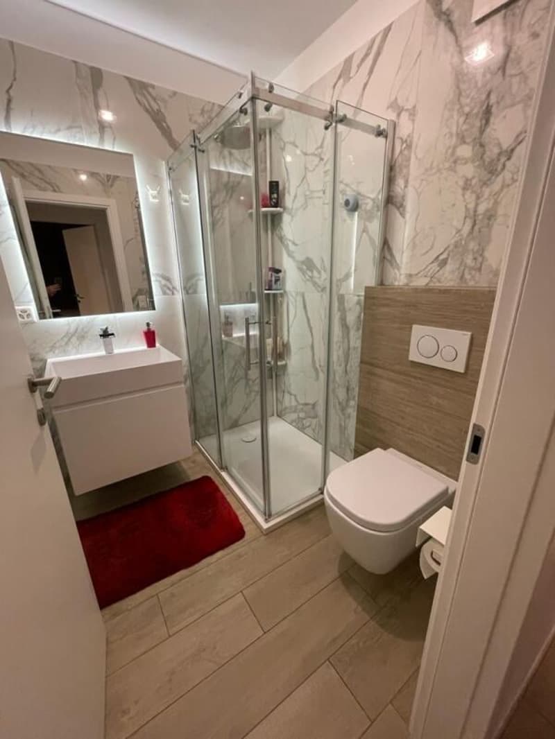 Res. Leche Park, apartment with garden of 3.5 rooms, Bellinzona (8)