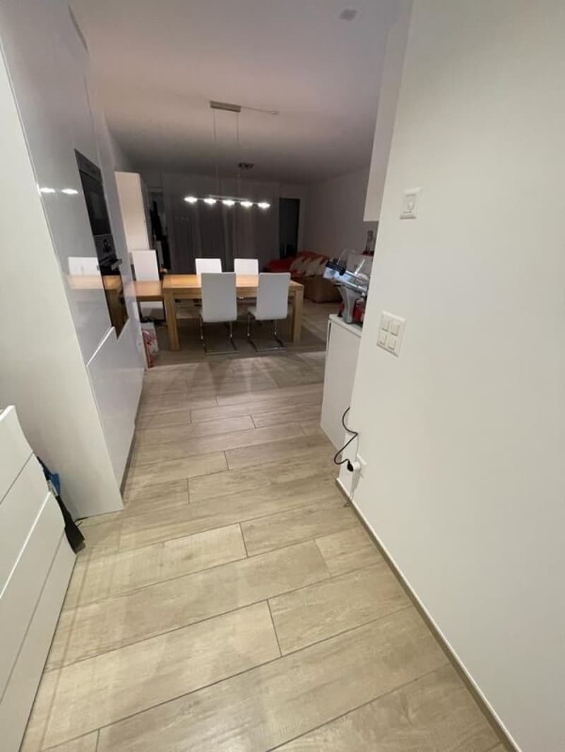 Res. Leche Park, apartment with garden of 3.5 rooms, Bellinzona (4)