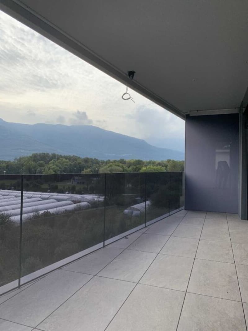 Apartment with 2.5 rooms, Sementina (5)