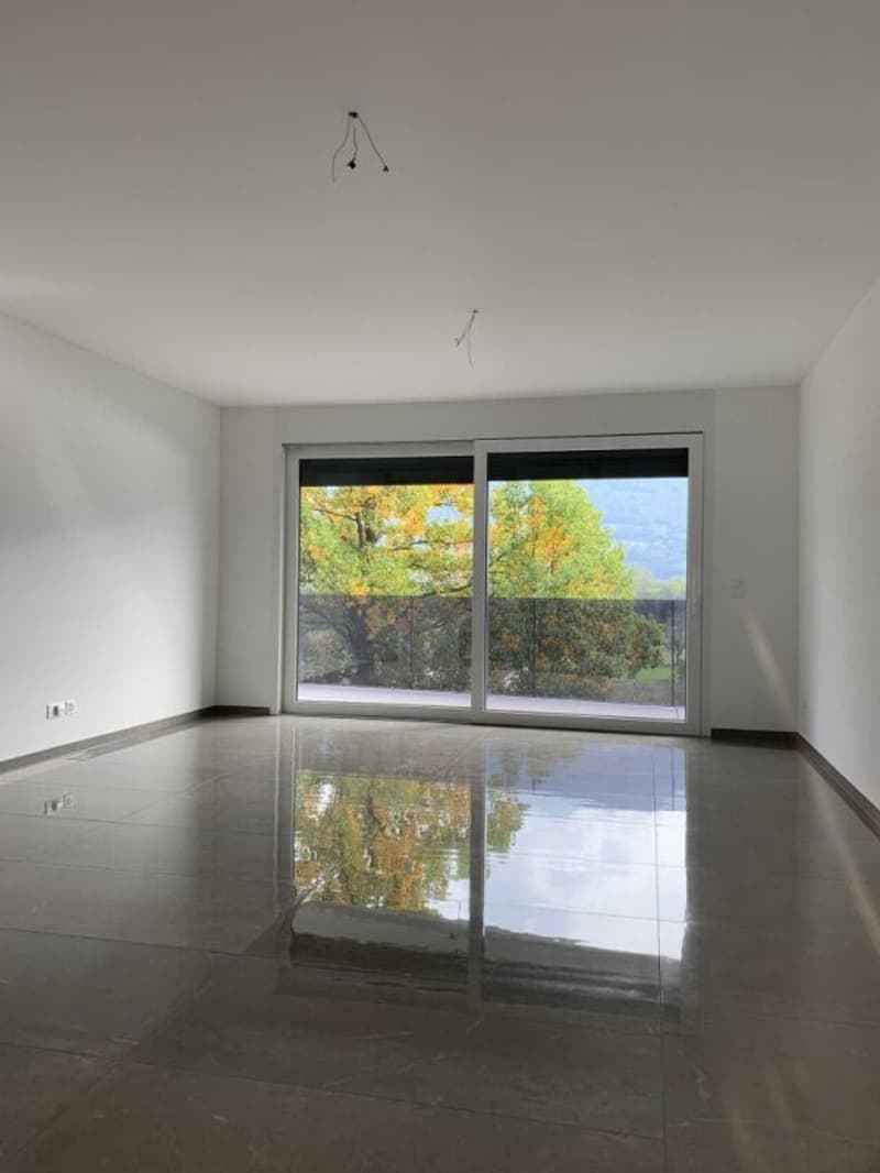 Apartment with 2.5 rooms, Sementina (3)