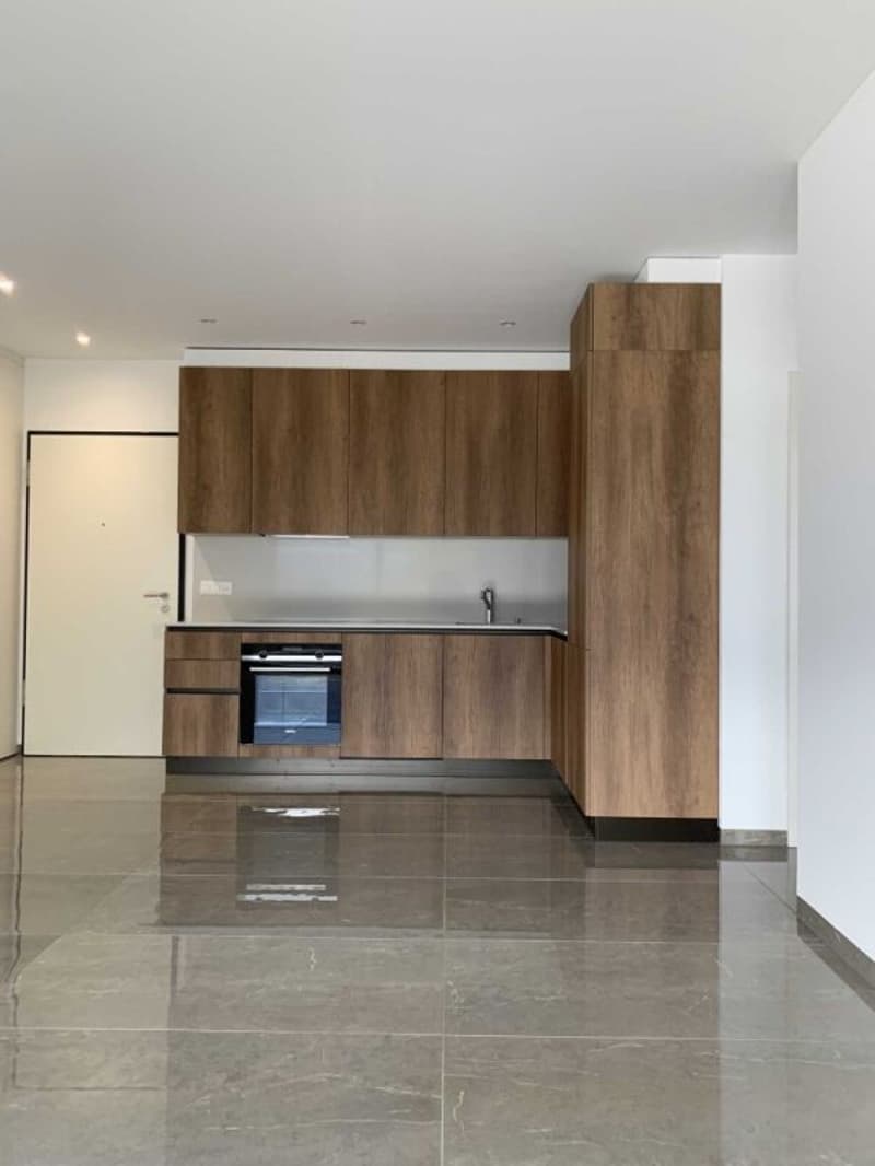 Apartment with 2.5 rooms, Sementina (2)
