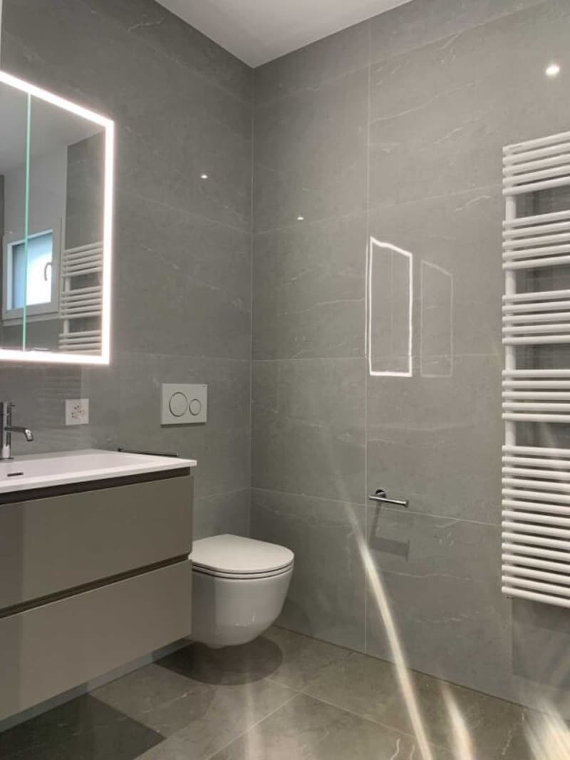Apartment with 2.5 rooms, Sementina (7)