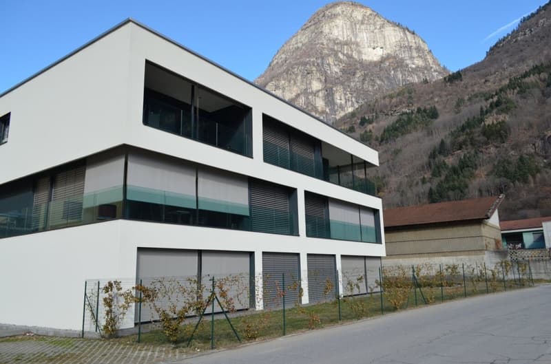 Res. Box, appartamento di 2.5 locali con giardino, Osogna (4)