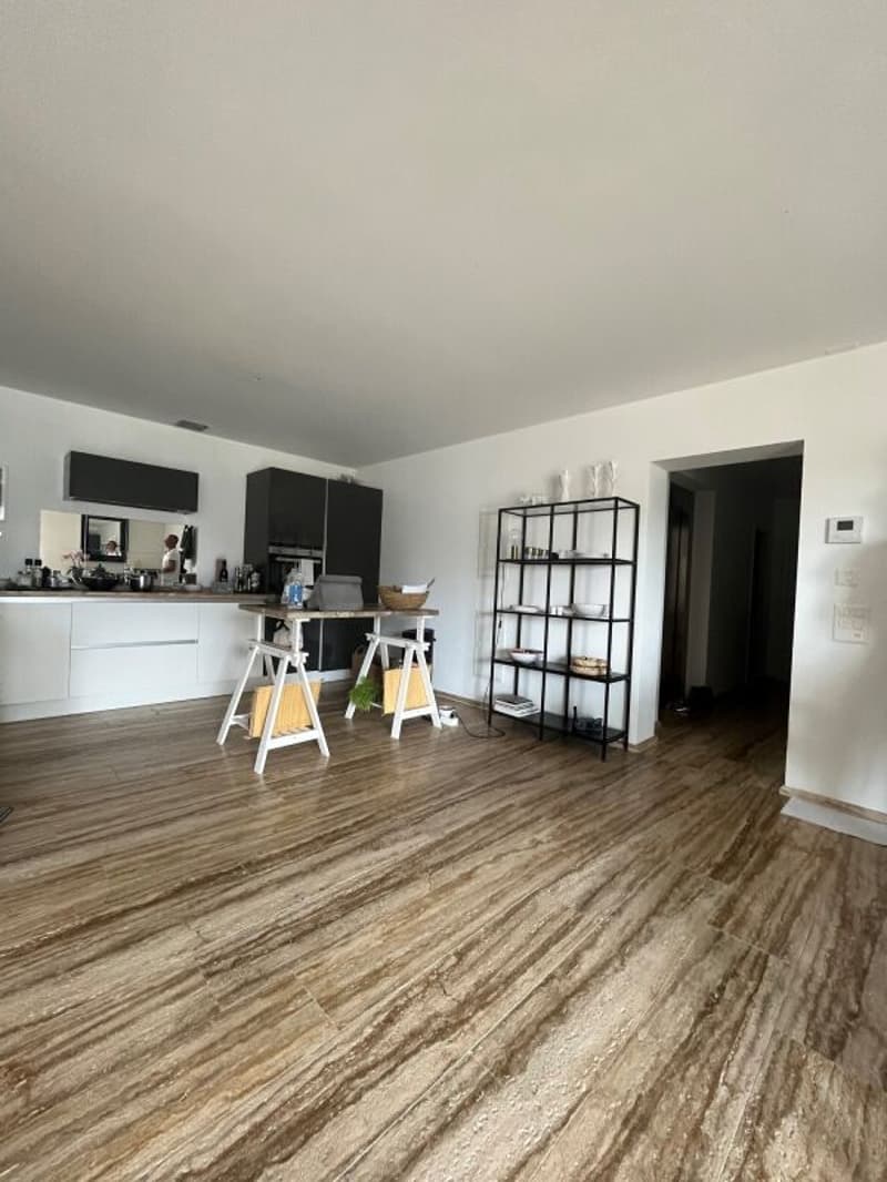Apartment with lake view, 3.5 rooms, Brissago (4)