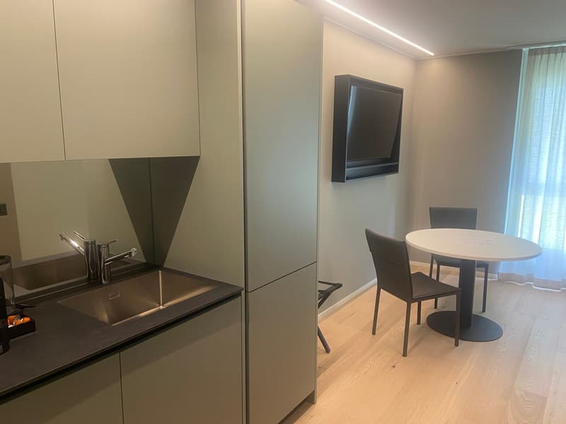 Arbed Living Apartments, Bellinzona-Castione - Appartement 1,5 pièces avec différentes superficies (2)