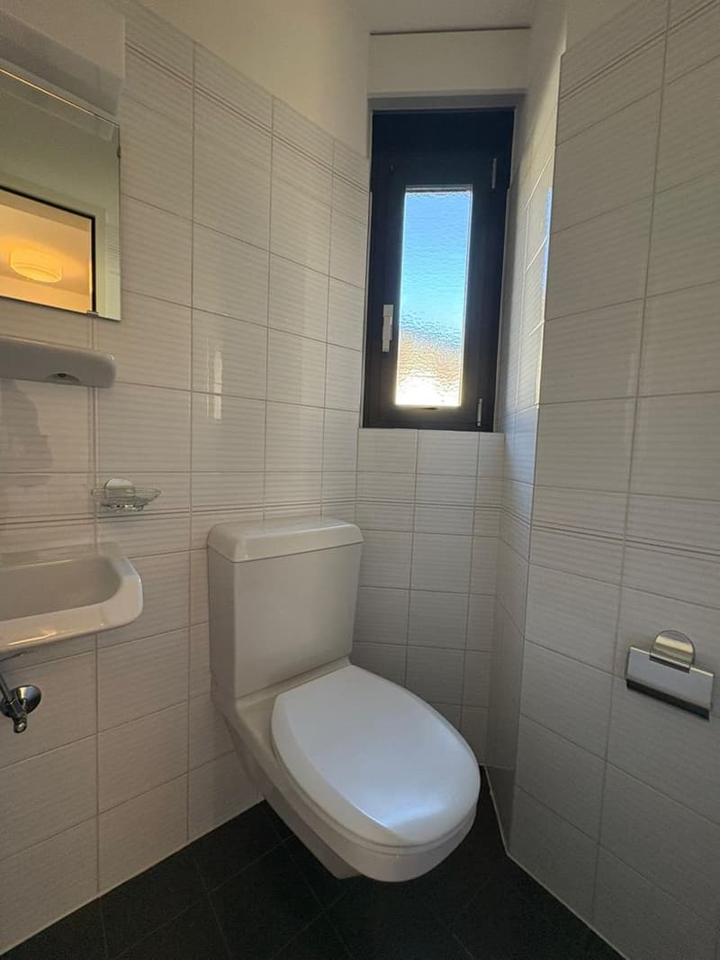 Appartement de 2,5 pièces au rez-de-chaussée, Minusio (6)