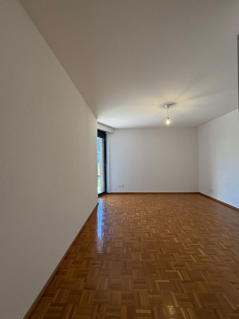 Appartement de 2,5 pièces au rez-de-chaussée, Minusio (4)