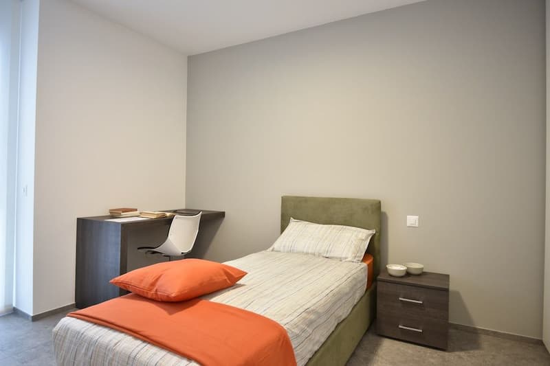 Res. Leche Park, 3.5-room apartment, furnished, Bellinzona (5)