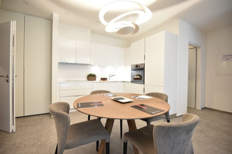 Res. Leche Park, 3.5-room apartment, furnished, Bellinzona (2)