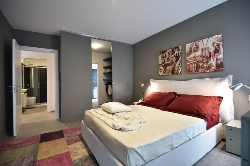 Res. Leche Park, 3.5-room apartment, furnished, Bellinzona (3)