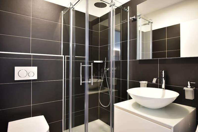 Res. Leche Park, 3.5-room apartment, furnished, Bellinzona (7)