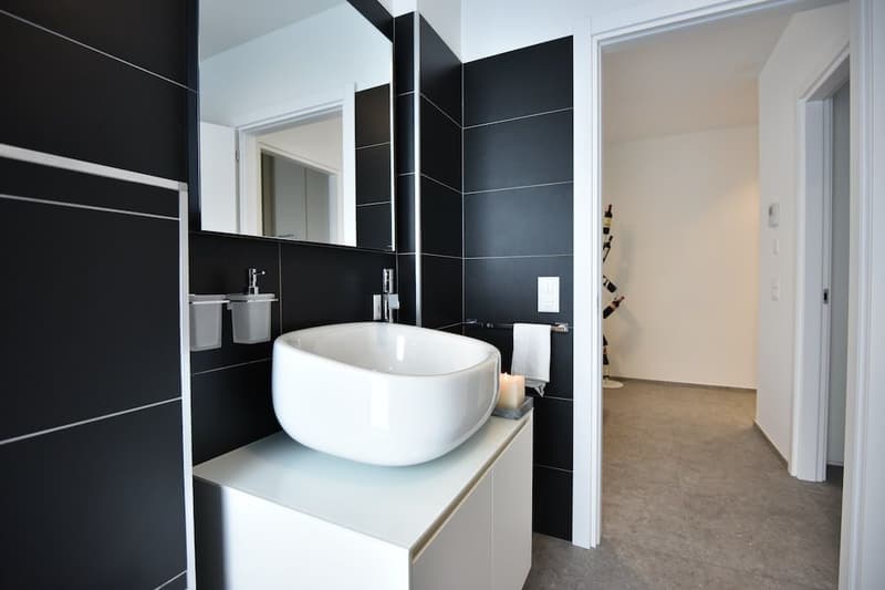 Res. Leche Park, 3.5-room apartment, furnished, Bellinzona (6)