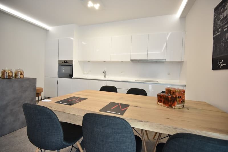 Res. Leche Park, 3.5-room apartment, furnished, Bellinzona (2)