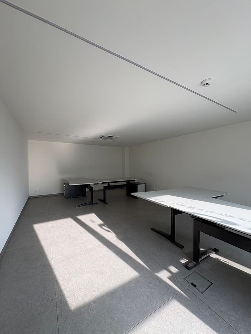 Arbed Smart Center, bureau à louer, Castione (3)