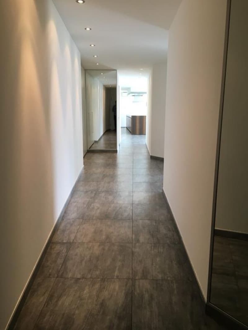 Also secondary residence - Res. Diamante, 4.5-room attic with lake view, Gordola (11)