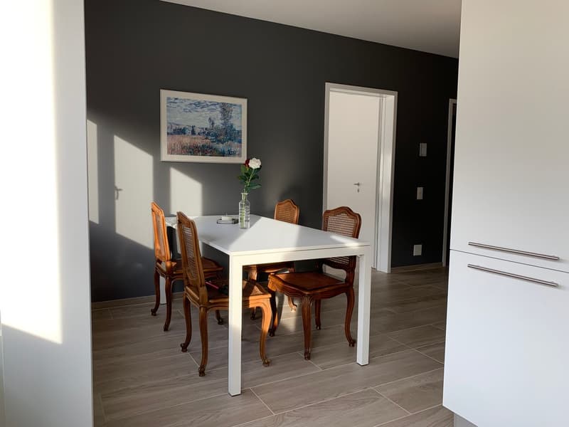 2.5 room apartment, furnished, Bellinzona (7)