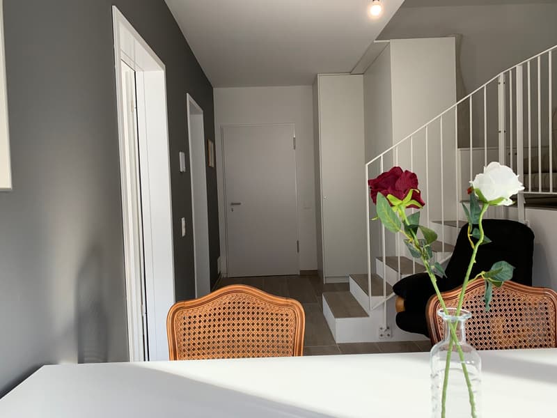 2.5 room apartment, furnished, Bellinzona (10)