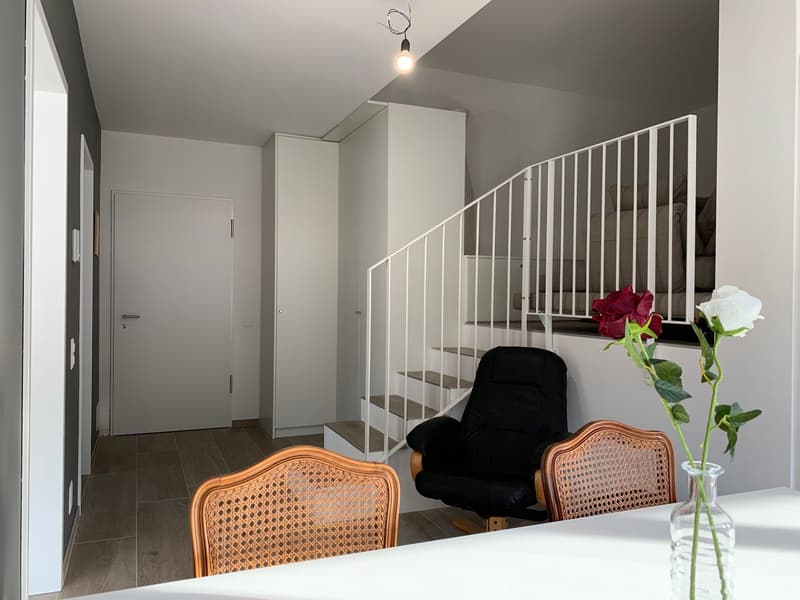 2.5 room apartment, furnished, Bellinzona (9)